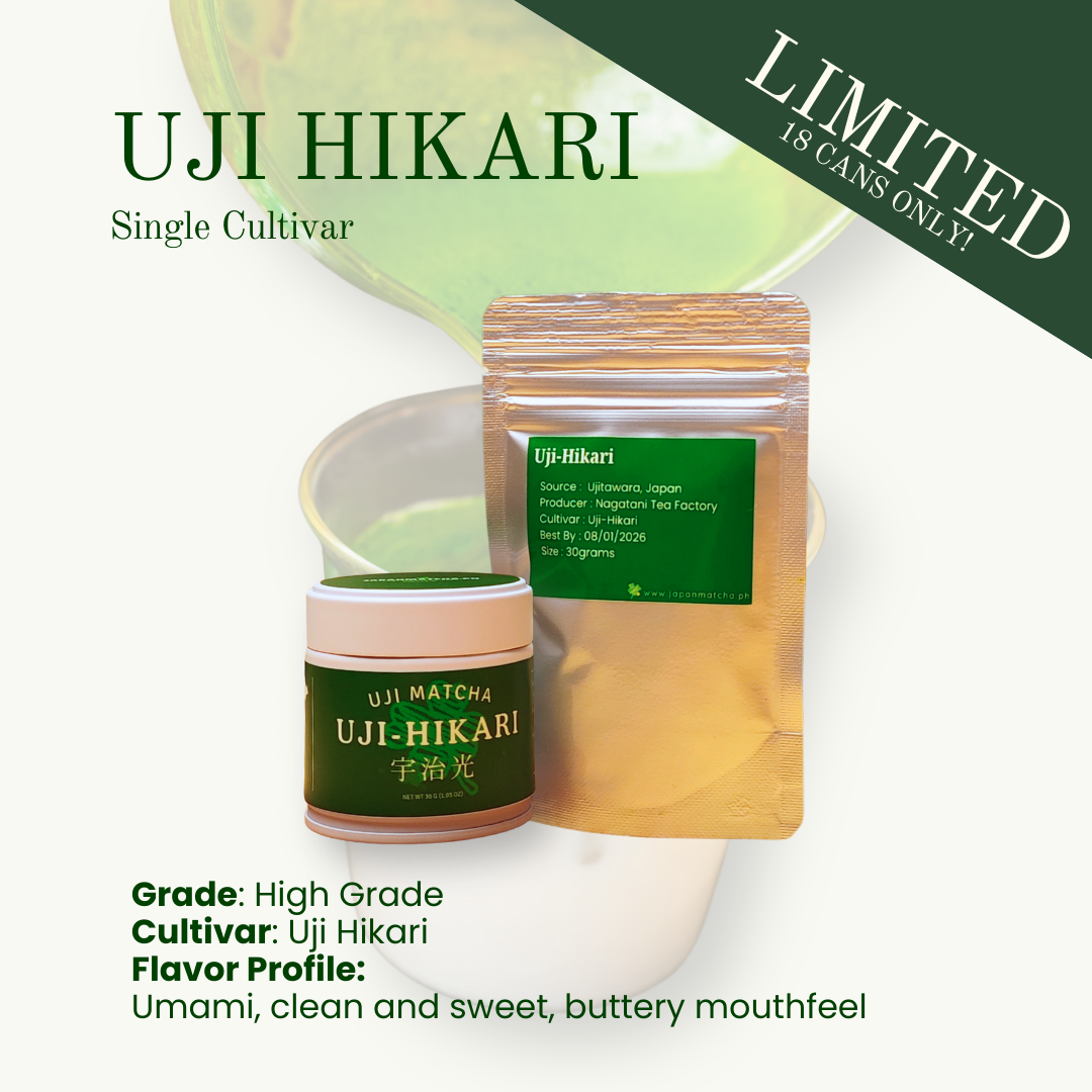 Matcha Uji-hikari by Nagatani Premium+ Ceremonial Matcha 30g