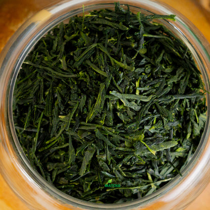 Organic Gyokuro Green Tea from Kagoshima (2025)