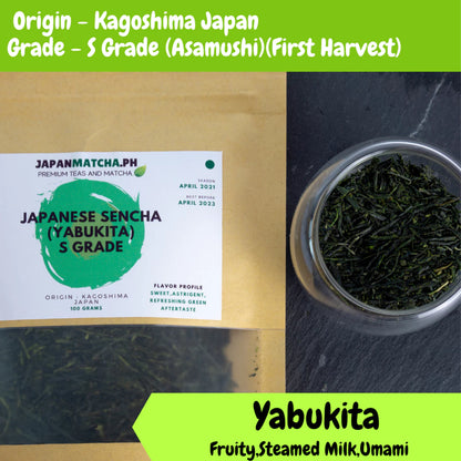 Sencha Japan Premium (S Grade) from Kagoshima 1(Yabukita Shincha)(Asamushi)